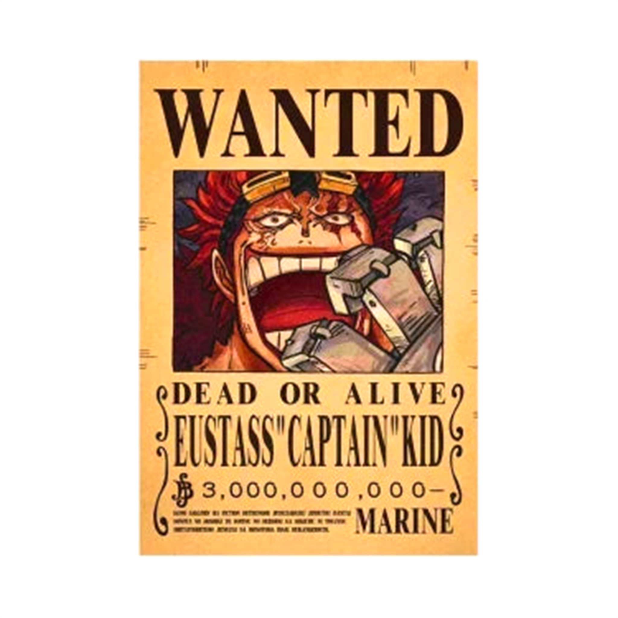 Poster Wanted One Piece - Saiko-Shop