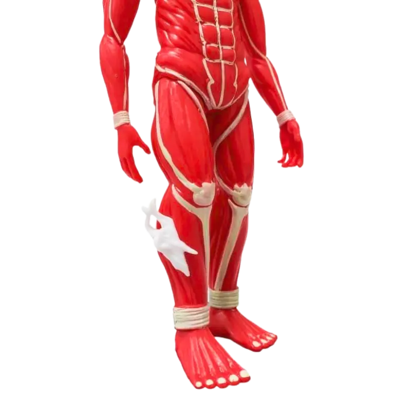 Figurine Titan " Colossal " | L'Attaque des Titans - Saiko-Shop