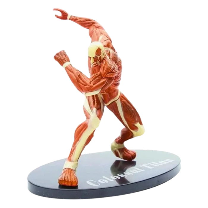 Figurine Titan " Colossal " | L'Attaque des Titans - Saiko-Shop