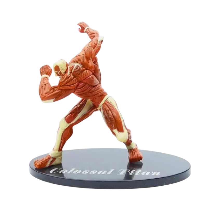 Figurine Titan " Colossal " | L'Attaque des Titans - Saiko-Shop