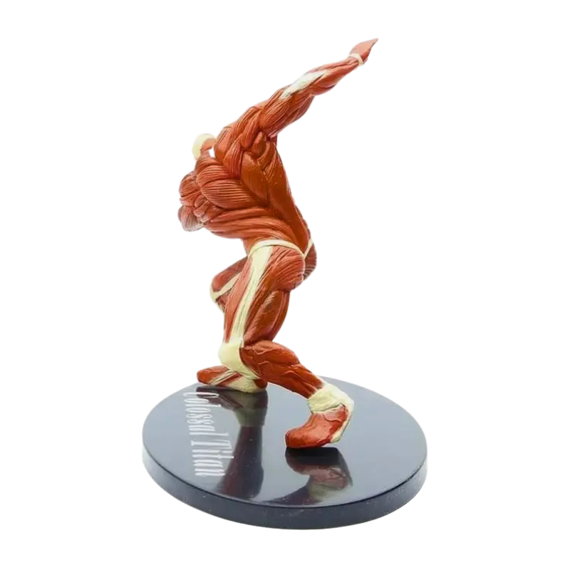 Figurine Titan " Colossal " | L'Attaque des Titans - Saiko-Shop