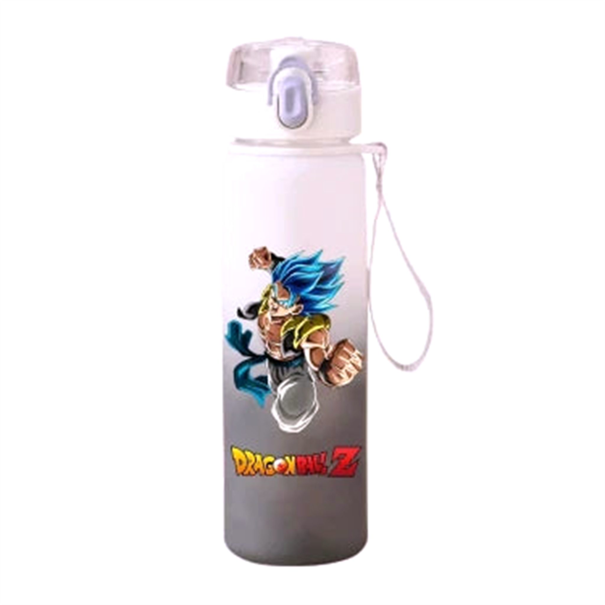 Gourde V5 Dragon Ball Z - Saiko-Shop