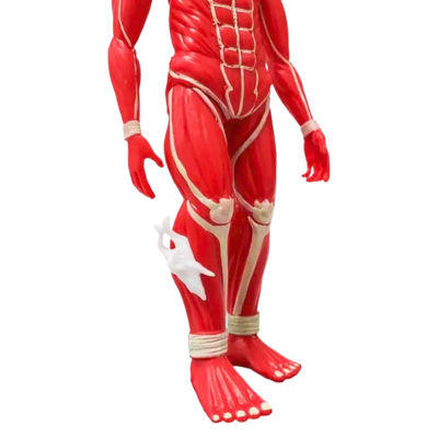 Figurine Titan " Colossal " | L'Attaque des Titans Saiko-Shop