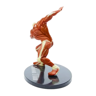 Figurine Titan " Colossal " | L'Attaque des Titans Saiko-Shop